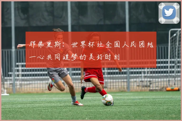 邓弗里斯：世界杯让全国人民团结一心共同追梦的美好时刻