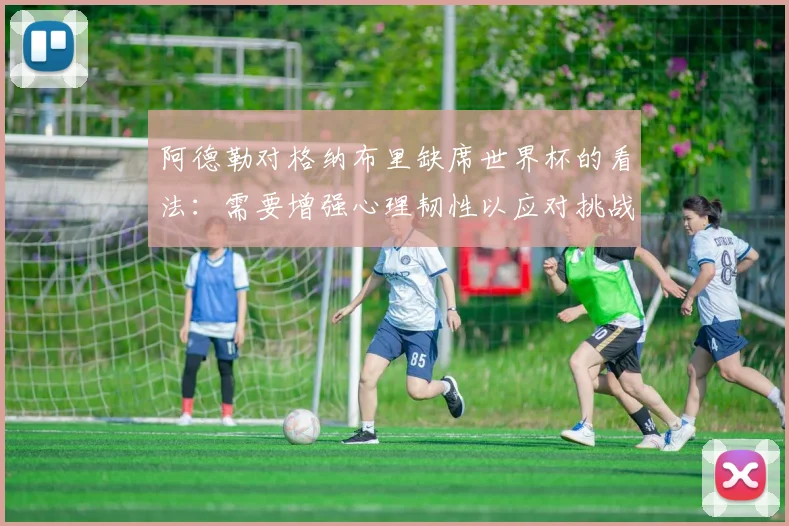 阿德勒对格纳布里缺席世界杯的看法：需要增强心理韧性以应对挑战